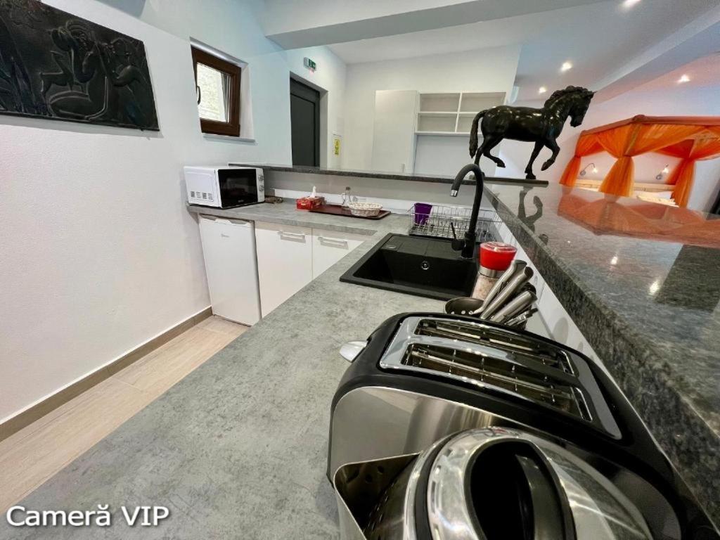 Colibiţa Casa Eden - Apartamente Langa Lac מראה חיצוני תמונה